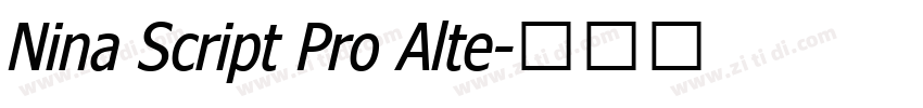 Nina Script Pro Alte字体转换